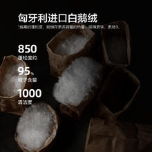 88VIP会员：MERCURY 水星家纺 羽绒被匈牙利进口95白鹅绒冬被加厚保暖被子被芯白绒吹雪
