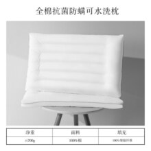 百丽丝水星集团出品 A类可水洗枕头颈椎枕 酒店纯棉抗菌枕芯单只装 全棉抗菌防螨可水洗枕 48cm×74cm