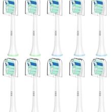 Philips 飞利浦 Sonicare 替换牙刷头,刷头兼容 Phillips Sonicare 电动牙刷 C2,适用于 Philips 飞利浦 Sonic Care 刷(所有扣入式),10 支装