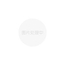 YANGZI 扬子 循环扇家用静音立式落地大风力台式涡轮电风扇