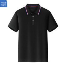 JEANSWEST 真维斯 男士短袖POLO衫 2件