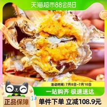 俏苏阁 六月黄大闸蟹 10只装 2.0-2.3两/只