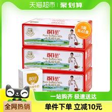 BONUS 百菲酪 水牛纯牛奶学生成人营养早餐牛奶200ml*48盒量贩装