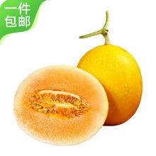 Mr.Seafood 京鲜生 民勤蜜瓜 3-4粒装 净重8-9斤