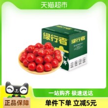 绿行者 樱桃番茄生吃小西红柿 2kg