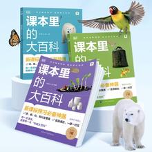 《课本里的大百科》（年级任选）