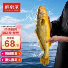 鲜京采  福建宁德冰鲜大黄鱼 净重1.6kg（400g*4条 ）