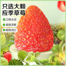 Be&Cheery 百草味 草莓干100g/袋