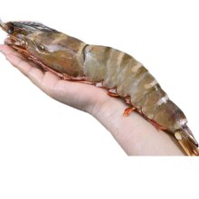 京东百亿补贴、PLUS会员：往牧大号活冻黑虎虾 老虎虾 400g*2盒（15-18cm）