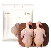 飞翔鸽 乳鸽 520g