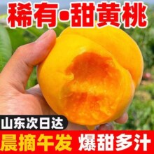 迎畔黄桃 山东蒙阴黄毛桃子礼盒水蜜桃子脆甜应季时令水果生鲜 黄毛桃 5斤装精品一级果