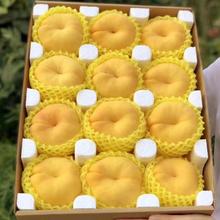 山东黄金蟠桃 蒙阴蟠桃 2.5斤装 精品果