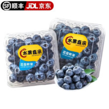 京东百亿补贴、plus会员：京东水果直采 国产蓝莓 精选大果 单果16mm+ 125g*2盒