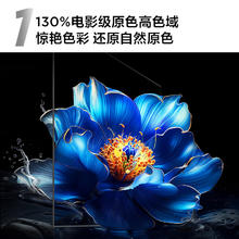 限移动端、京东百亿补贴：TCL 电视 65V8H Pro 65英寸 120Hz 高色域