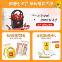 乐高（LEGO）积木 梦境城猎人 71481伊茲的梦境兽 新品玩具男孩女孩生日礼物