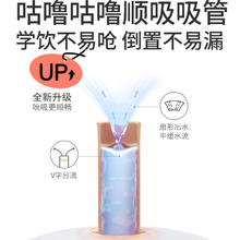 88VIP会员：Pigeon 贝亲 熊猫宝宝儿童水杯PPSU吸管杯300ml9月以上贝亲官方旗舰店