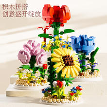 拥抱熊 2024积木花束拼装玩具 积木花束+防尘罩 标配