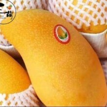 京东百亿补贴、plus会员:三萌果蔬金煌芒芒果  带箱5斤装【实惠尝鲜】 精选大果【单果200g+】