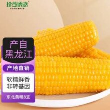 珍谷诱惑 非转基因 东北甜糯玉米棒 8支×200g