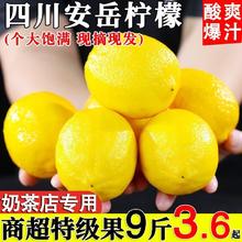 四川安岳黄柠檬新鲜水果5斤9斤一级果当季现摘奶茶店批发