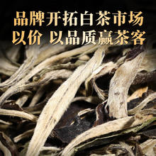 金星满天 月光白白茶 老白茶 云南白茶月光美人白牡丹白茶自饮茶茶叶2024年 拍一发二口碑好月光白每袋100克
