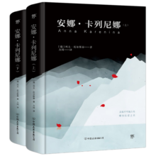 安娜卡列尼娜（全2册，精装典藏版！世界十大文学名著，力冈经典全译本，收录10余幅珍贵照片）