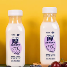 NEW HOPE 新希望 今日鲜奶芋泥厚乳255ml*8