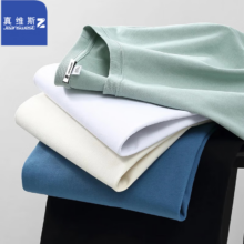 真维斯（JEANSWEST Z+） 重磅100%纯棉T恤 *3件