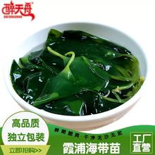 膨胀 霞浦海带苗400g