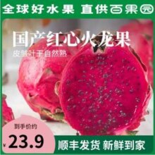 百果园 广西南宁红心火龙果 5斤（单果300g-400g）