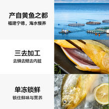 88VIP会员：喵满分 三去宁德大黄鱼1.5kg（5条）新鲜冷冻生鲜水产黄花鱼