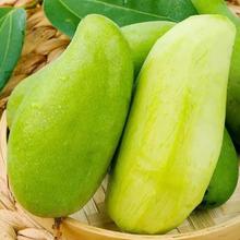 9.89元撸 西双版纳大青芒果带箱5斤