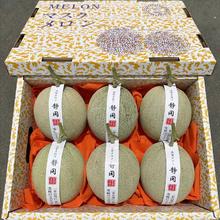 果益寿 新鲜水果 正宗山东网纹瓜 4.5 斤装 (1-2个)