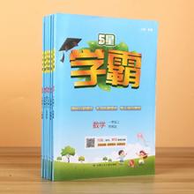 可用签到红包 24秋季新版5星学霸作业本1-6年级