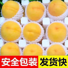 玫致 正宗蒙阴黄桃毛桃应季当季水果 当季精选黄毛桃 净重 2.25斤