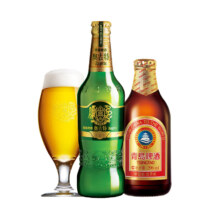 TSINGTAO 青岛啤酒 小棕金296ml*24瓶 赠奥古特玻璃杯（组合套装，含赠到手共36瓶）