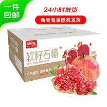 Mr.Seafood 京鲜生 四川突尼斯软籽石榴 超大果 5斤装 单果500g+ 生鲜 源头直发包邮