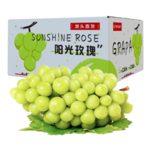 PLus会员:京鲜生国产阳光玫瑰葡萄 4.5-5斤装单果12g起