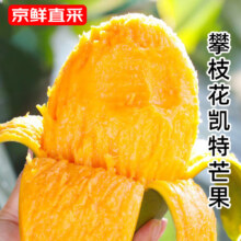 庾丰攀枝花凯特芒果新鲜现摘 彩虹芒 5斤（含箱）净果4.5斤单果300g+