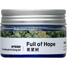 full of hope/希望树 除甲醛清除剂 52g