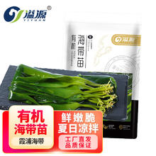 溢源 盐渍海带苗嫩新鲜 海带嫩苗500g