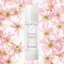 香缇卡 花妍活肤精华液50ml