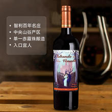 赛尚名庄 鹿跃少女园经典赤霞珠梅洛红酒智利原瓶进口干红葡萄酒