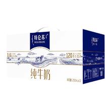 特仑苏 纯牛奶250mL×12