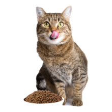 NULO自由天性进口低GI高蛋白无谷猫粮鸡肉&鳕鱼5.44kg【临期清仓】