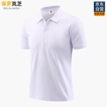 保罗岚芝团体T恤定制夏季企业工作服polo衫商务文化广告衫工衣短袖翻领男