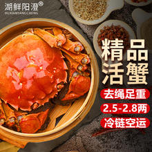 HUXIANYANGCHENG 湖鲜阳澄 大闸蟹 全母2.5-2.8两 4对8只