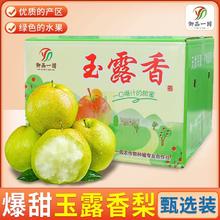 百亿补贴：御品一园 玉露香梨山西新鲜水果脆甜净重5斤梨子礼盒装