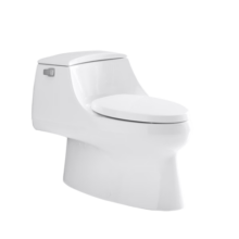 科勒（KOHLER） 马桶圣拉菲尔连体坐便器抽水马桶座便器五级旋风线下实体店款 3722 305mm坑距