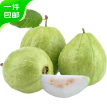 京鲜生 白心芭乐净重3斤 单果150g起 *3件
